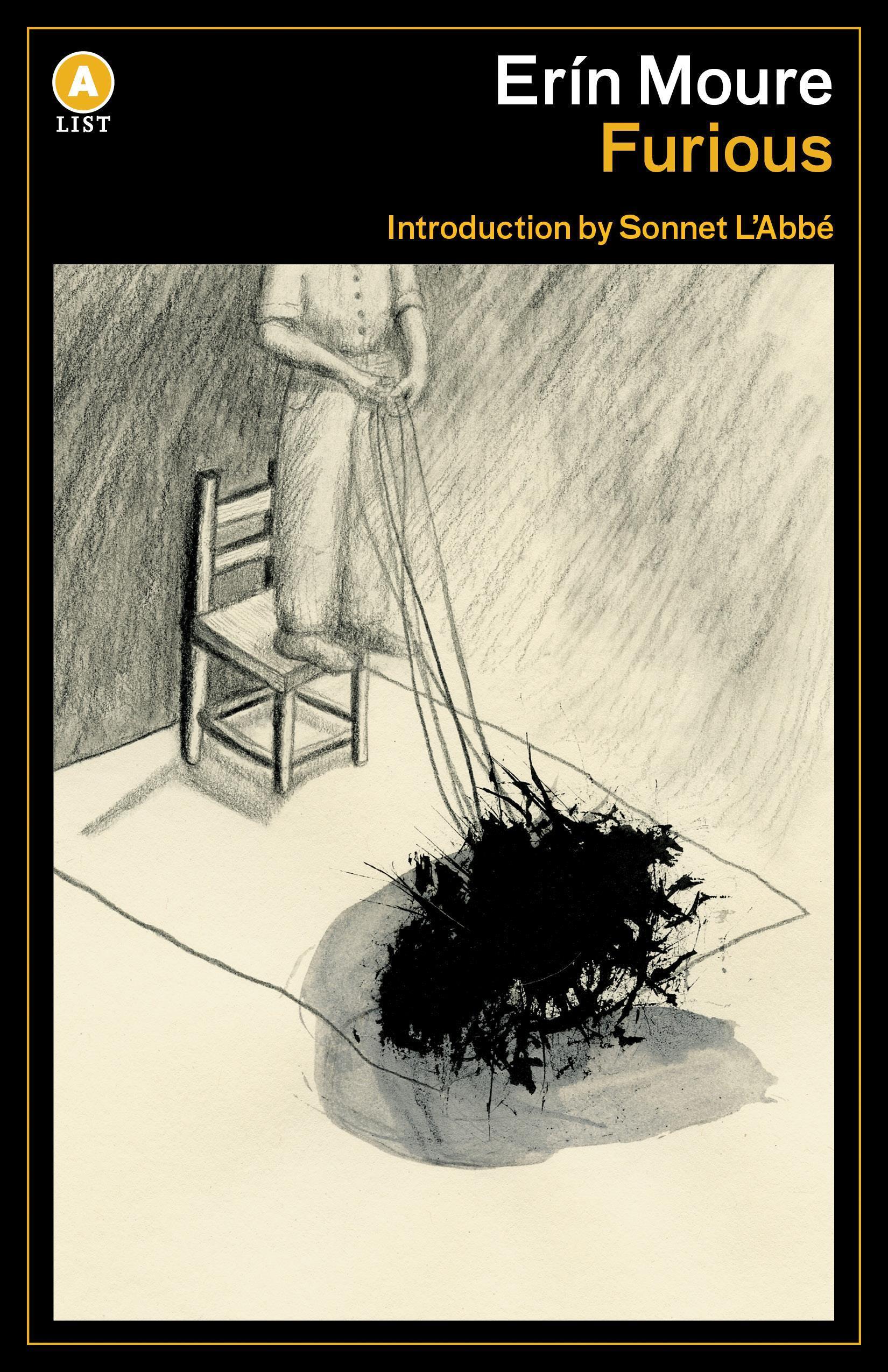 Vorderes Coverbild Furious