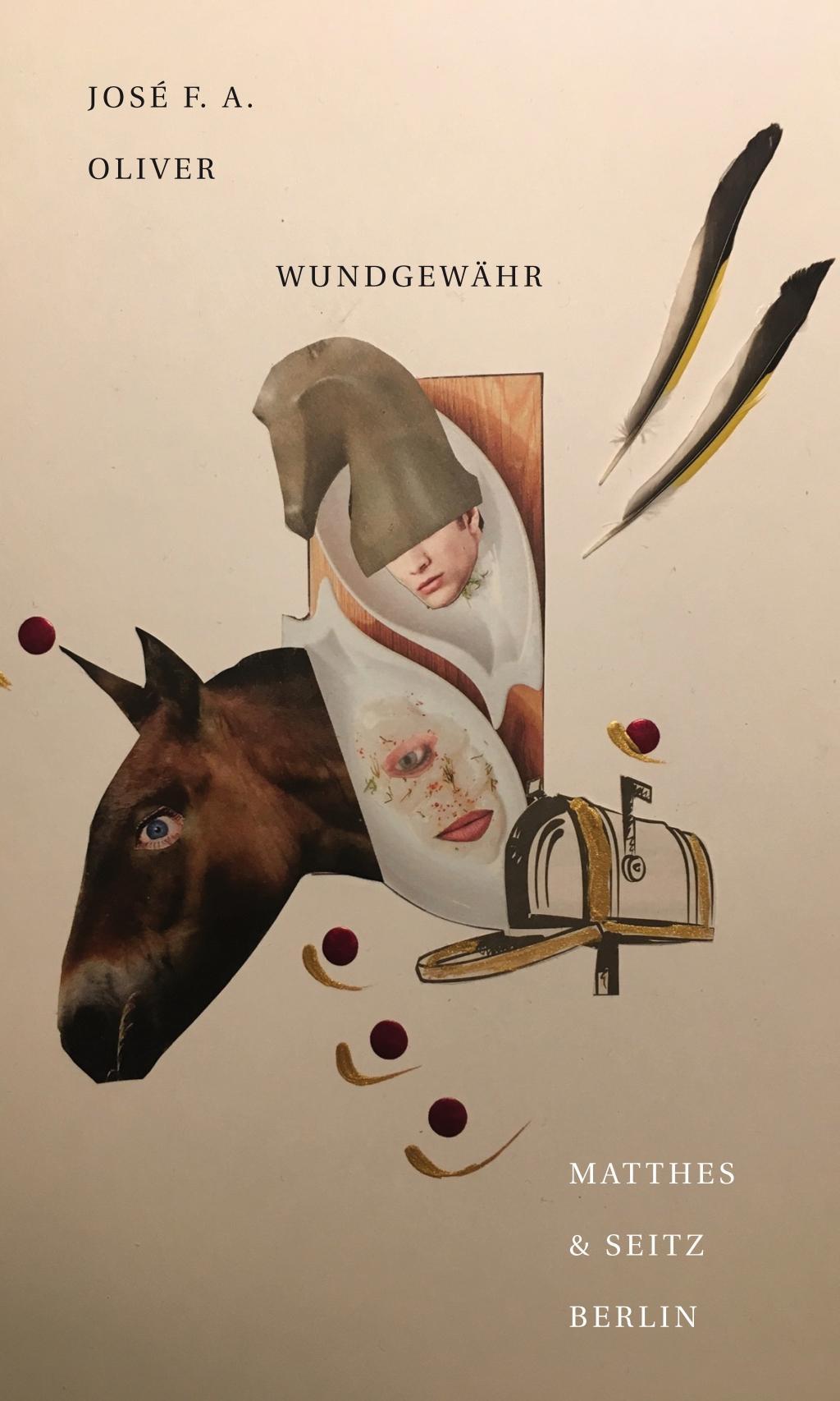 Vorderes Coverbild wundgewähr