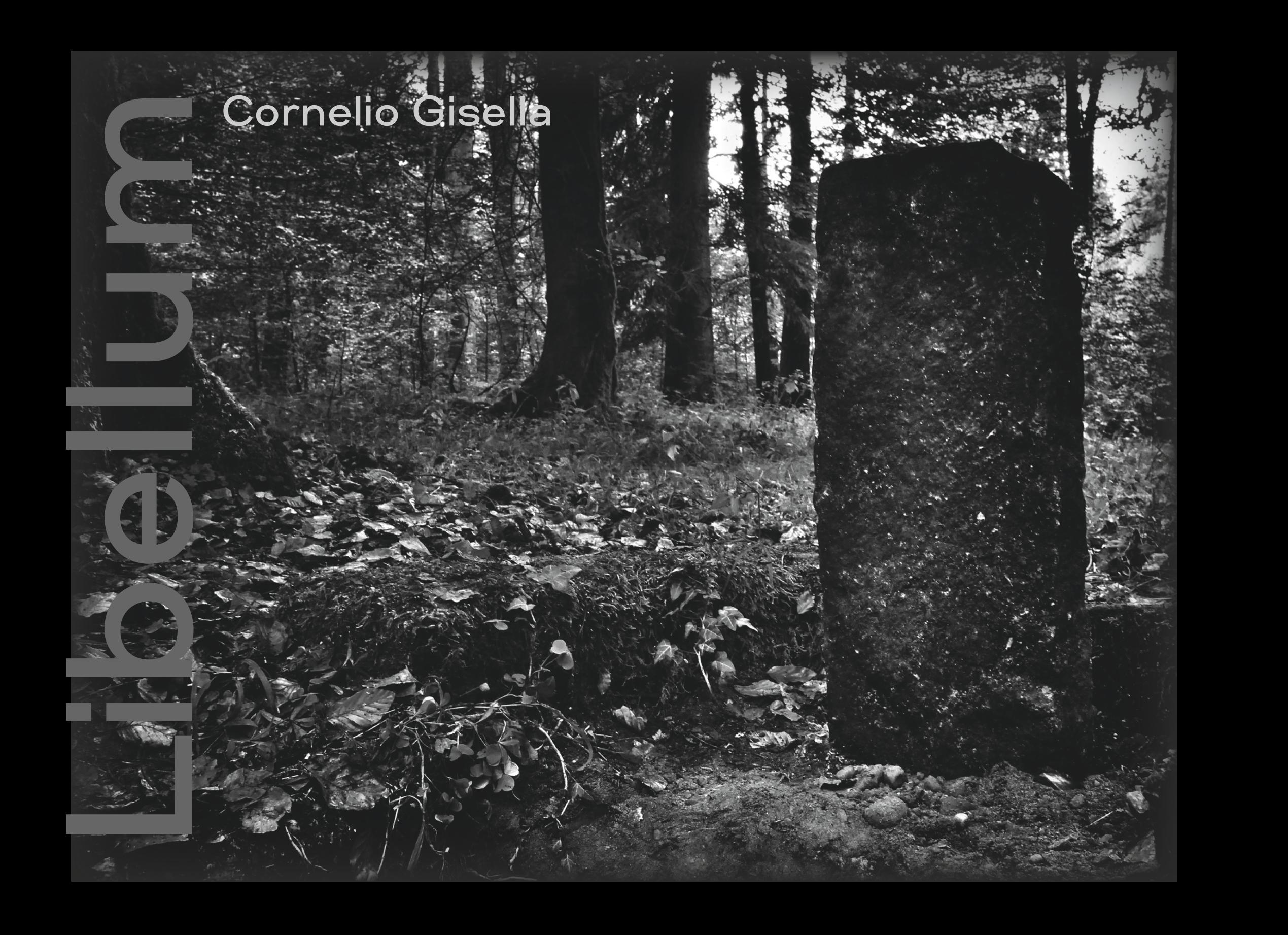 Vorderes Coverbild Libellum