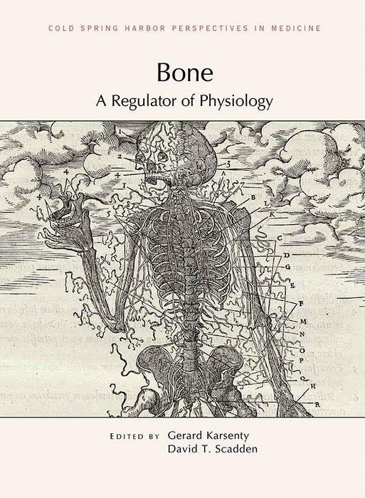 Vorderes Coverbild Bone: A Regulator of Physiology