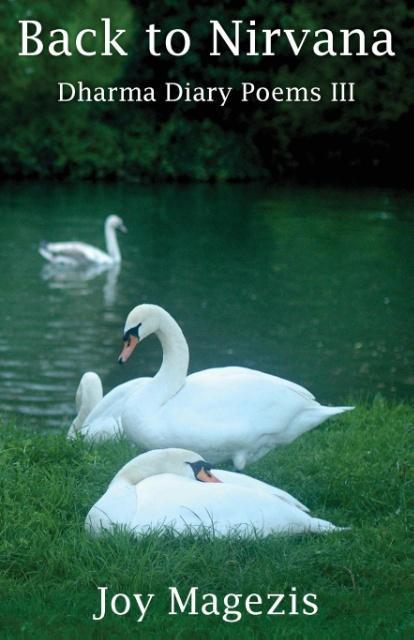 Vorderes Coverbild Back To Nirvana