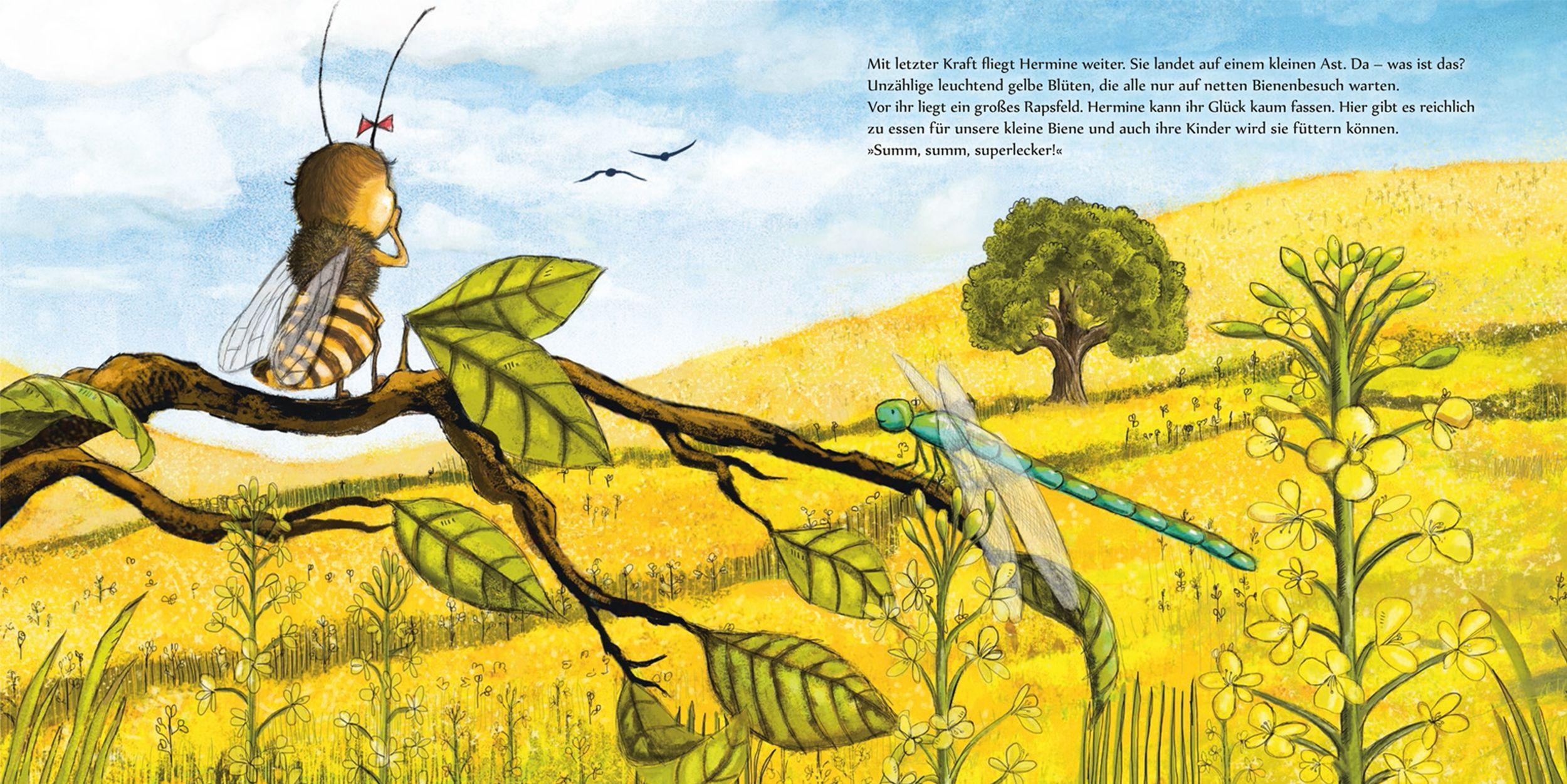 Beispielinhalt (Bild) Kleine Biene Hermine, wo bist du zu Haus?