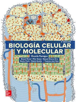 Vorderes Coverbild Biología celular y molecular