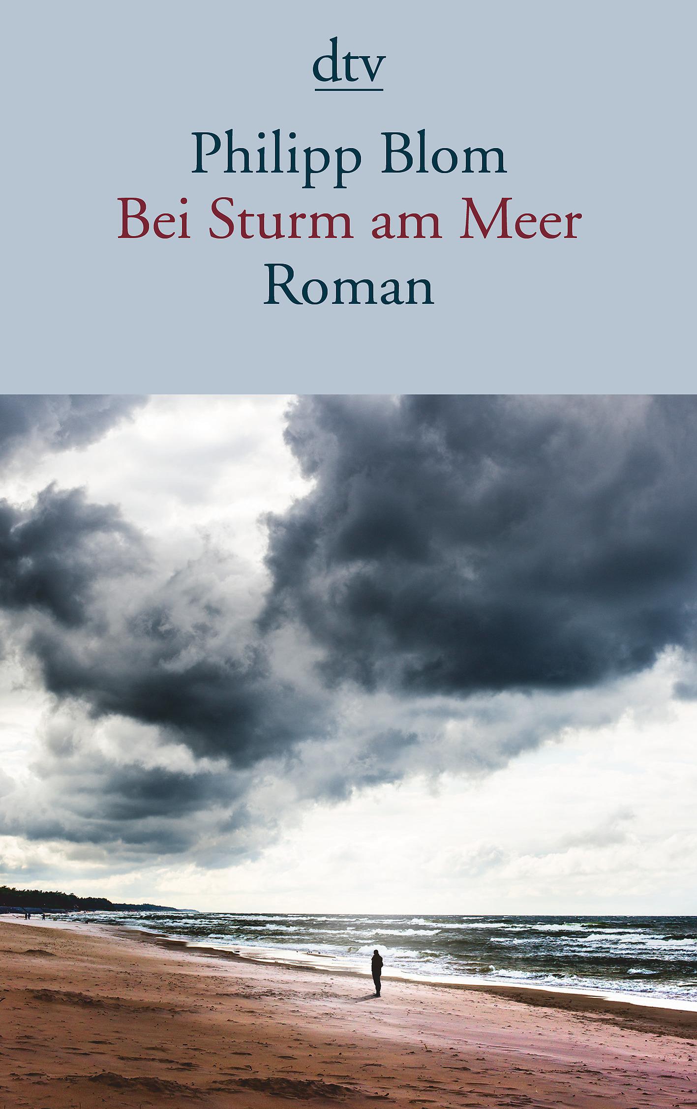Vorderes Coverbild Bei Sturm am Meer