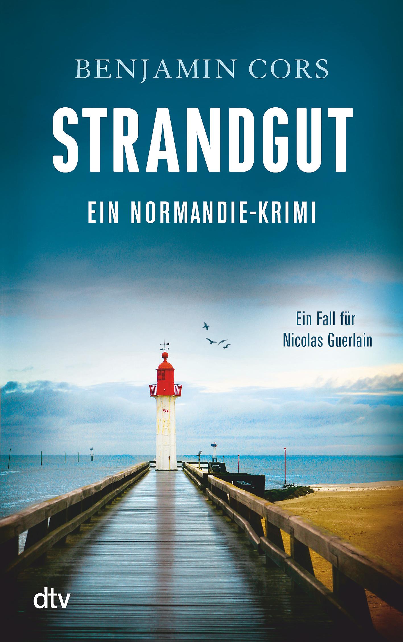 Vorderes Coverbild Strandgut