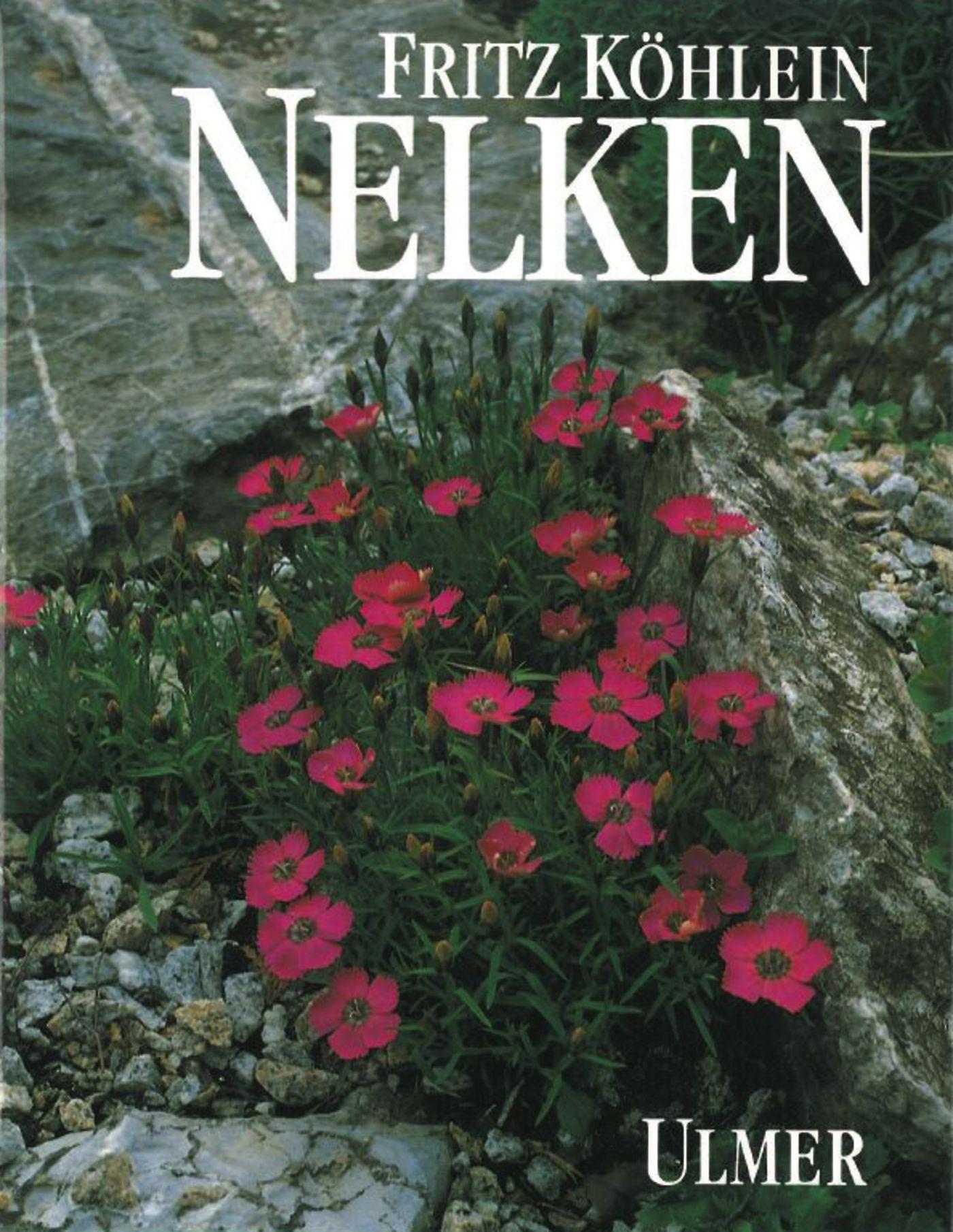 Vorderes Coverbild Nelken