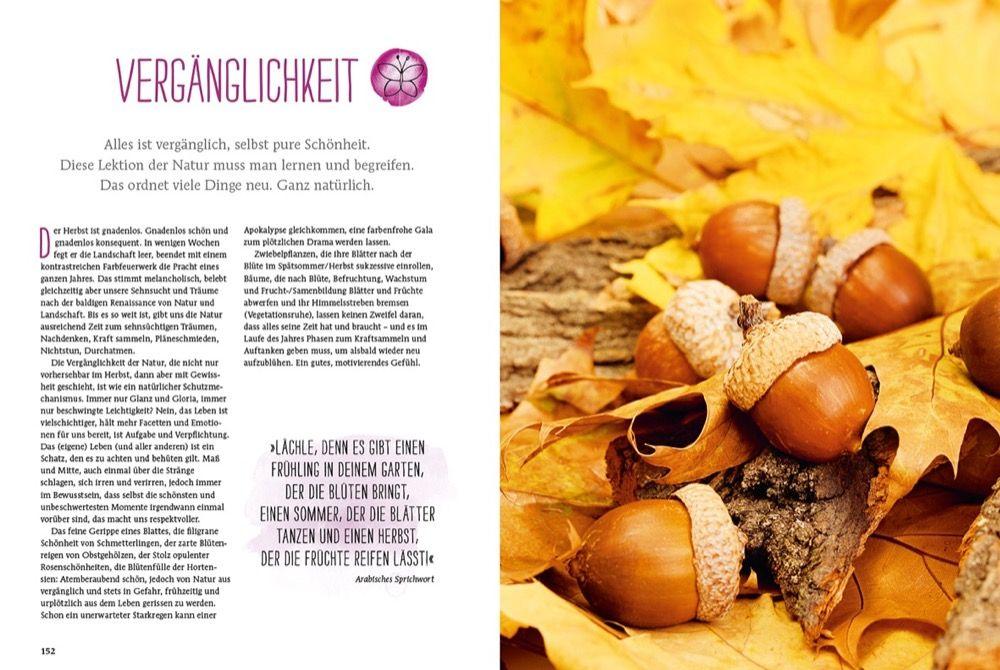 Beispielinhalt (Bild) Durch Gärtnern zur Achtsamkeit