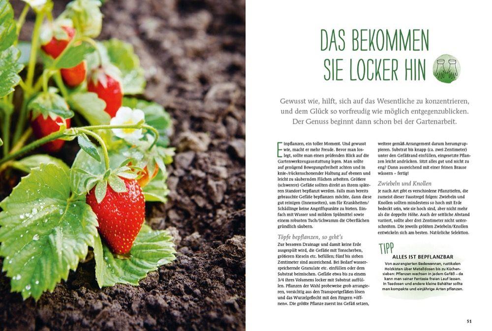Beispielinhalt (Bild) Durch Gärtnern zur Achtsamkeit