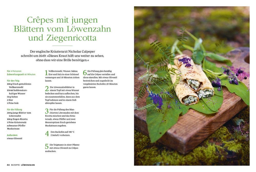 Beispielinhalt (Bild) Die Magie der Wildkräuter