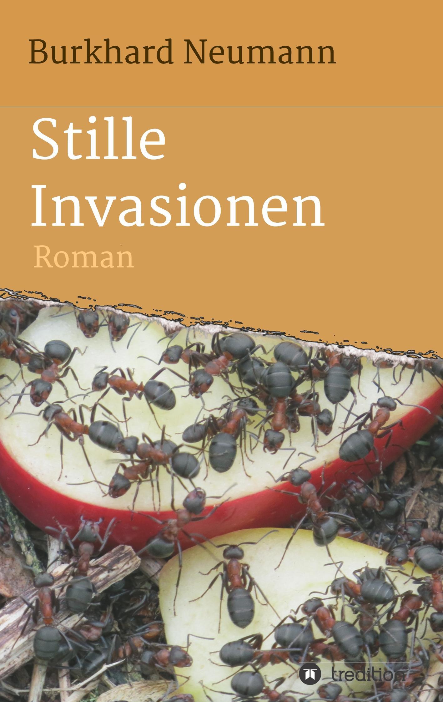 Vorderes Coverbild Stille Invasionen