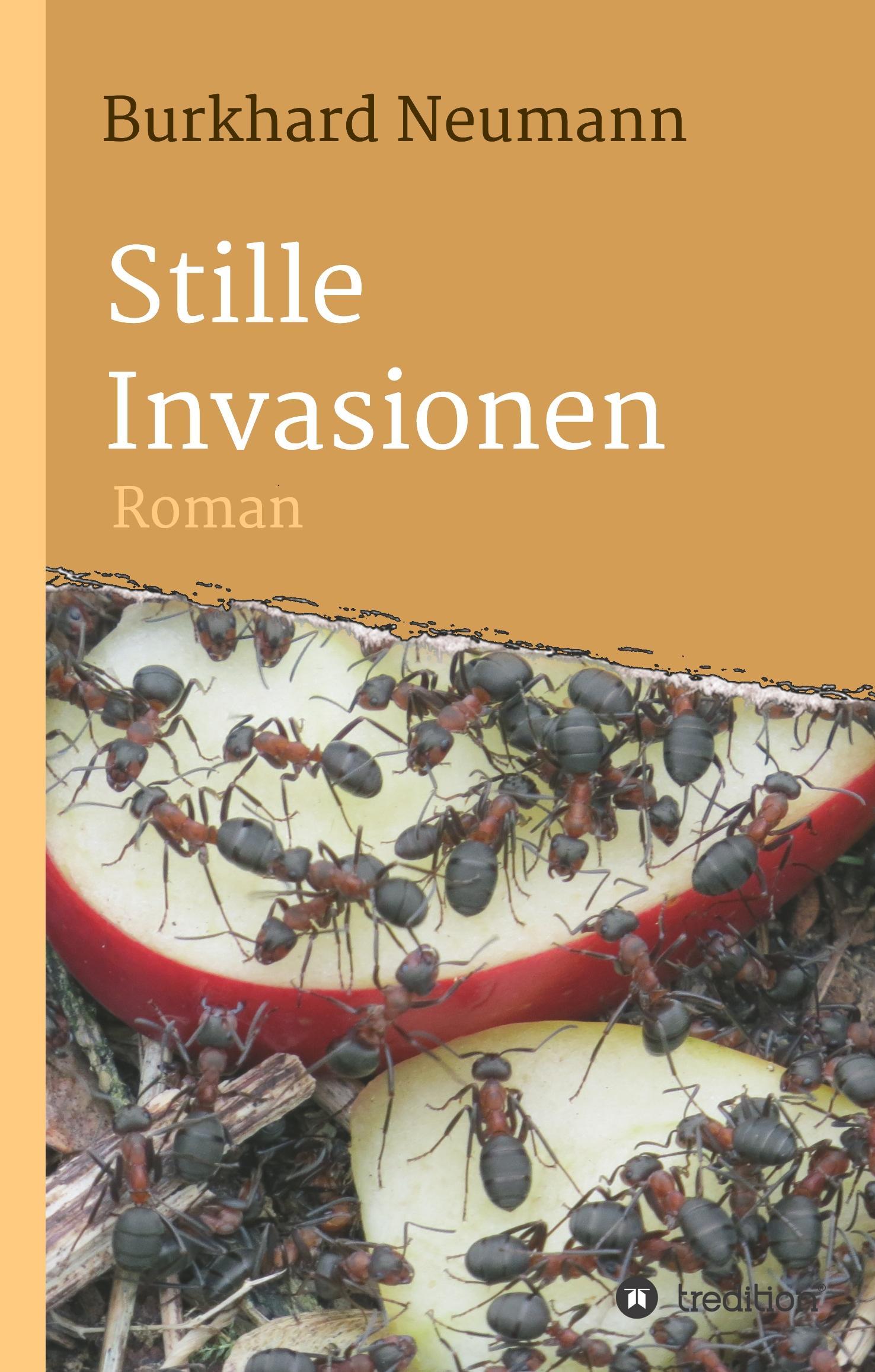 Vorderes Coverbild Stille Invasionen