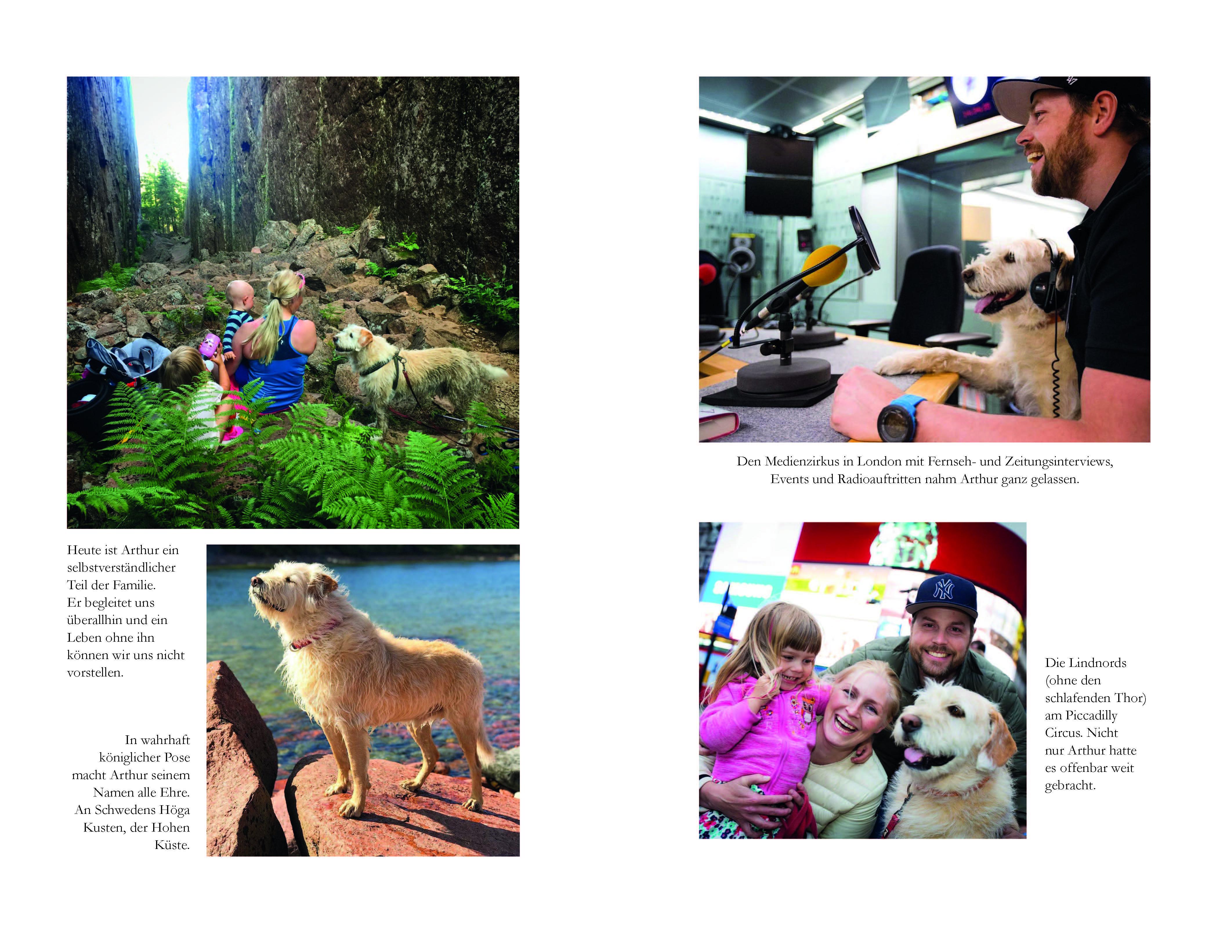 Beispielinhalt (Bild) Arthur und seine Freunde