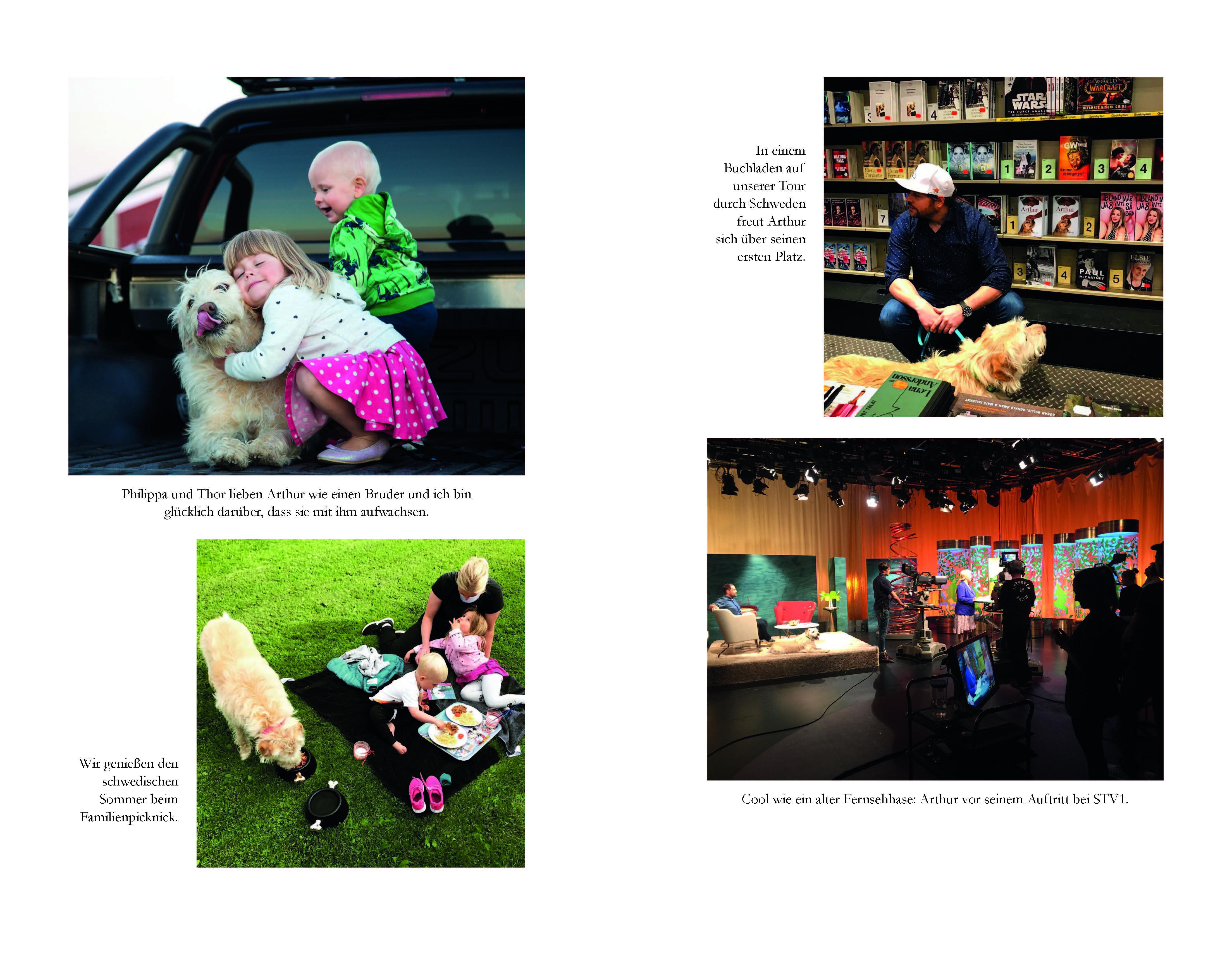 Beispielinhalt (Bild) Arthur und seine Freunde