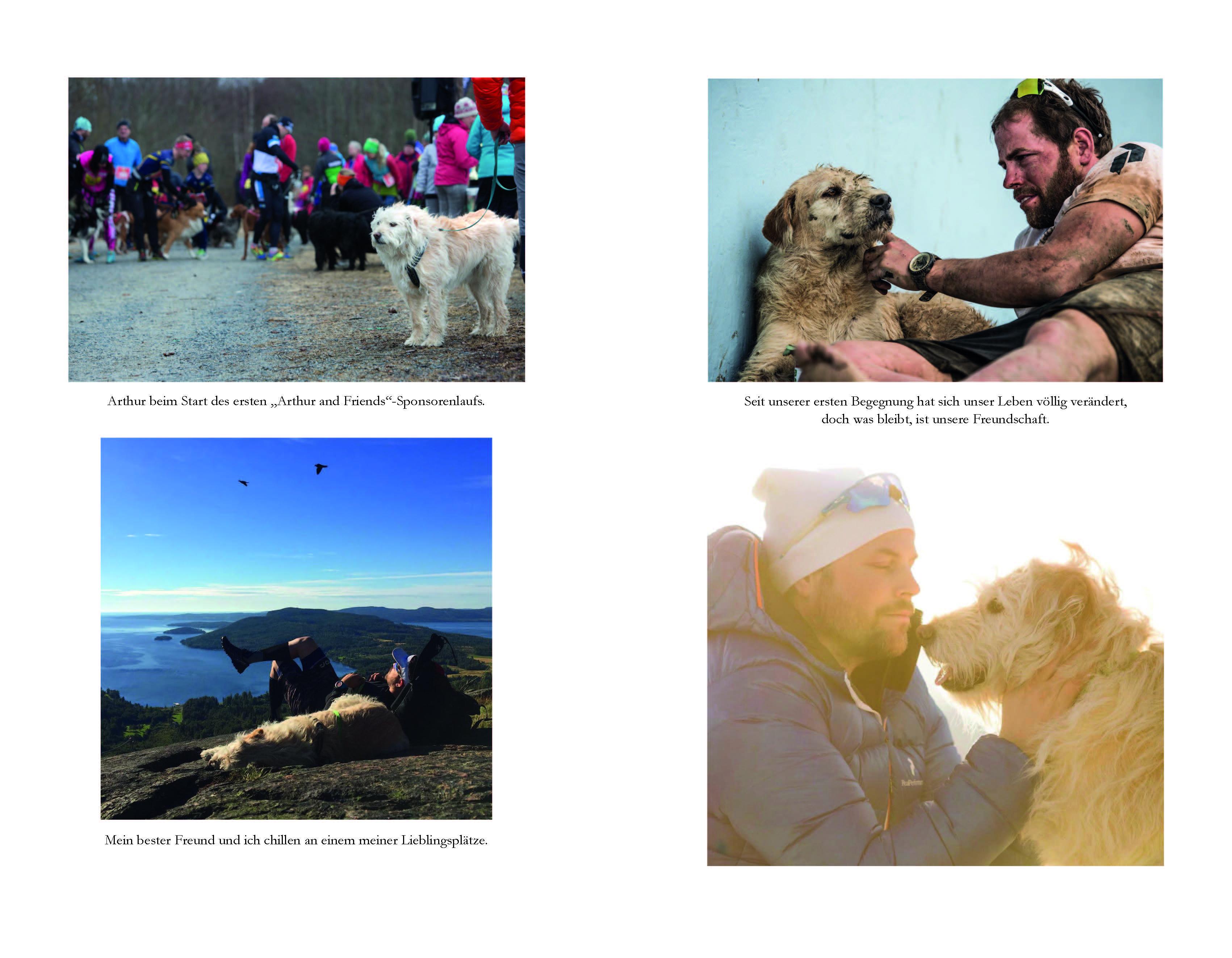 Beispielinhalt (Bild) Arthur und seine Freunde