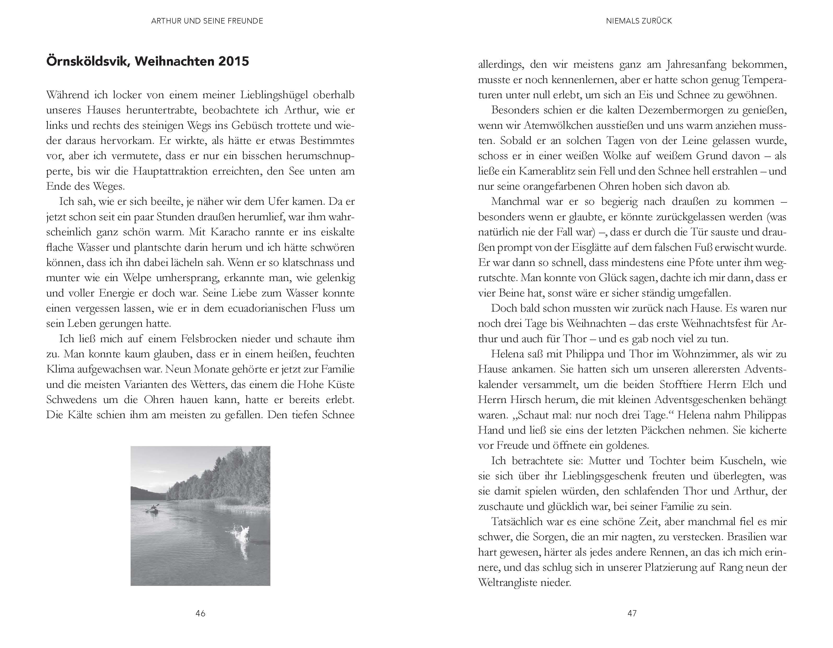 Beispielinhalt (Bild) Arthur und seine Freunde