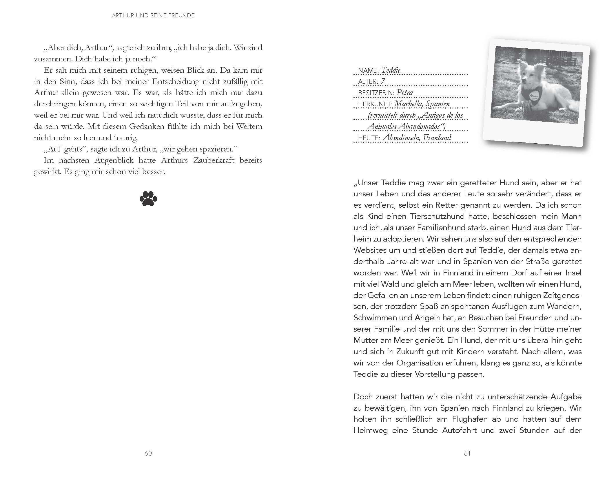 Beispielinhalt (Bild) Arthur und seine Freunde