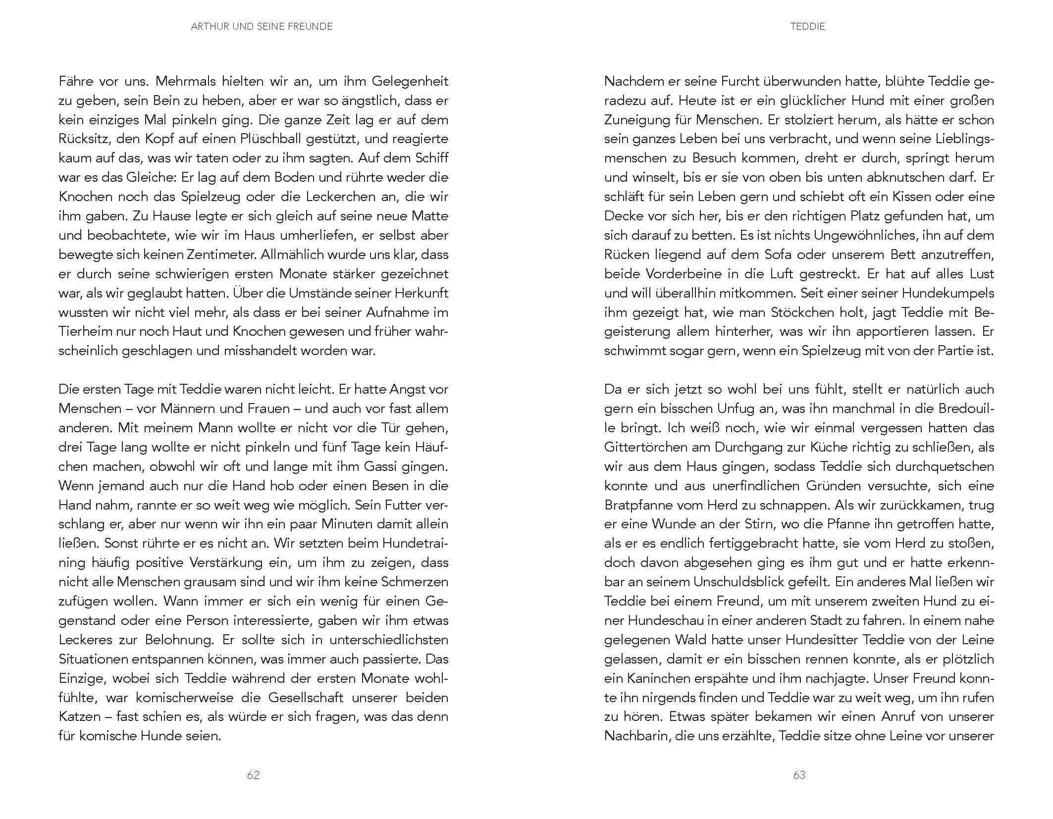 Beispielinhalt (Bild) Arthur und seine Freunde