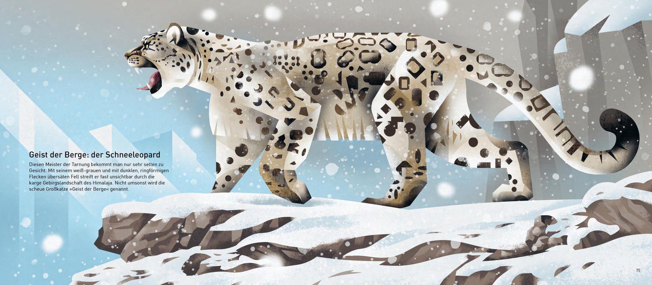 Beispielinhalt (Bild) Die Welt der Berge