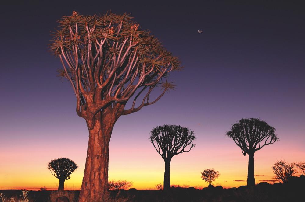 Beispielinhalt (Bild) 100 Highlights Afrikas Süden