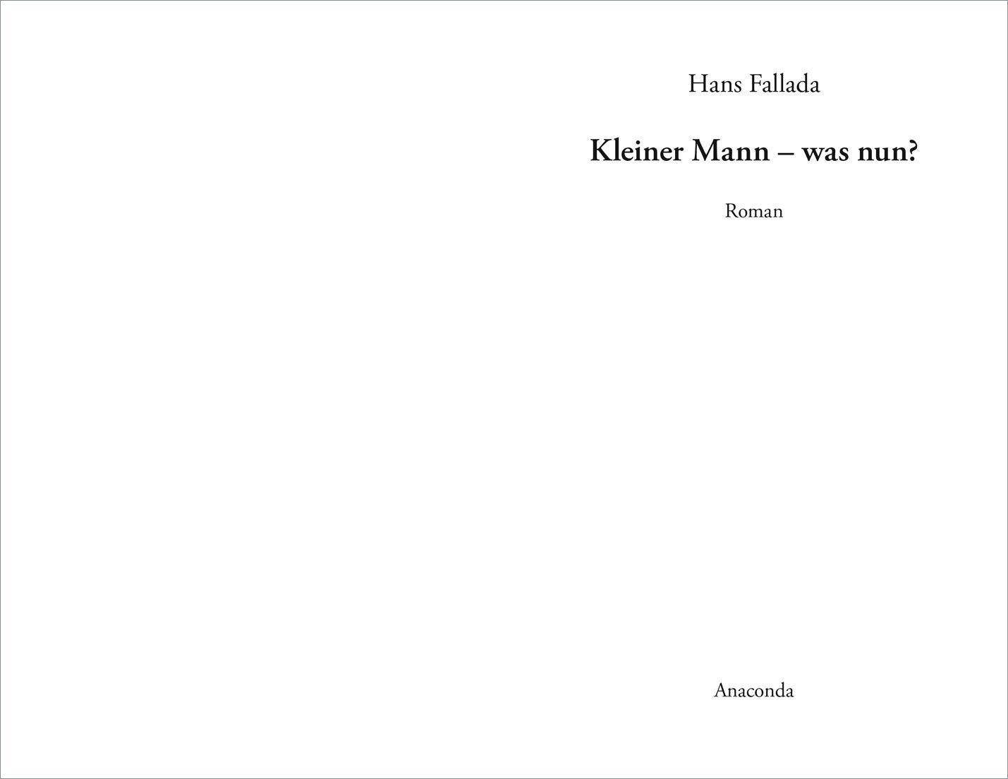 Beispielinhalt (Bild) Kleiner Mann - was nun? (Roman)
