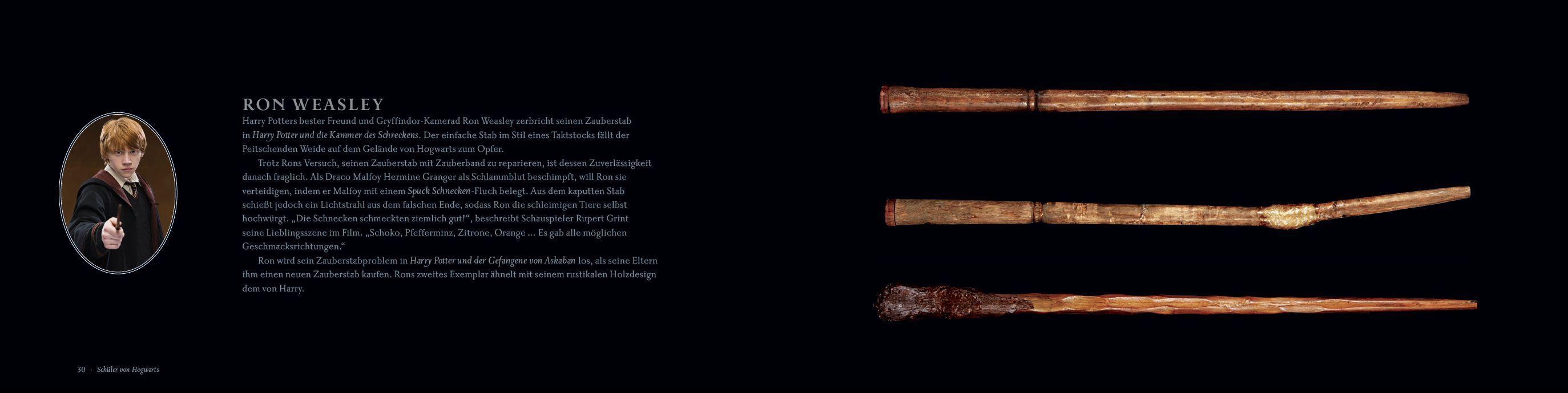 Beispielinhalt (Bild) Harry Potter: Das Buch der Zauberstäbe