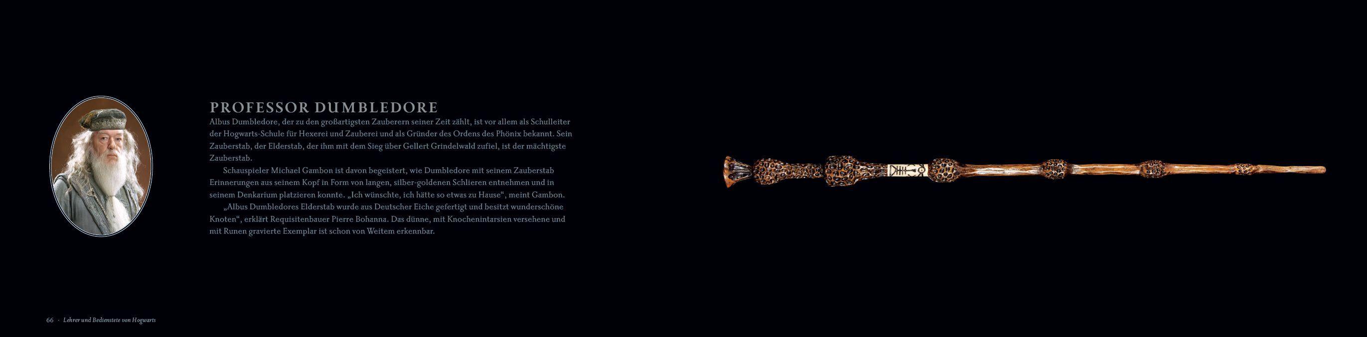 Beispielinhalt (Bild) Harry Potter: Das Buch der Zauberstäbe