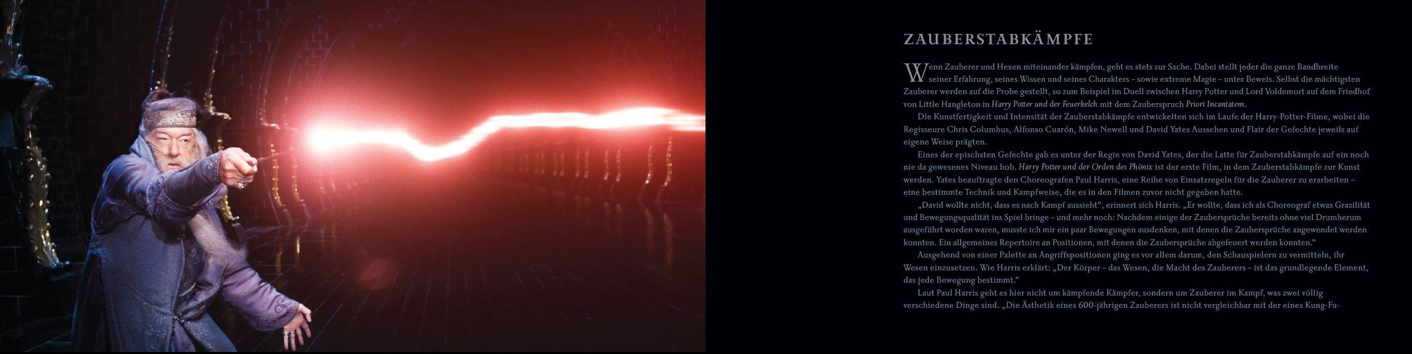 Beispielinhalt (Bild) Harry Potter: Das Buch der Zauberstäbe