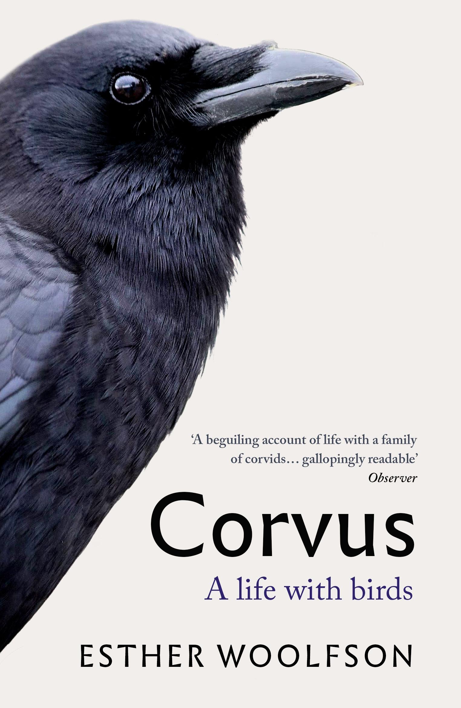Vorderes Coverbild Corvus