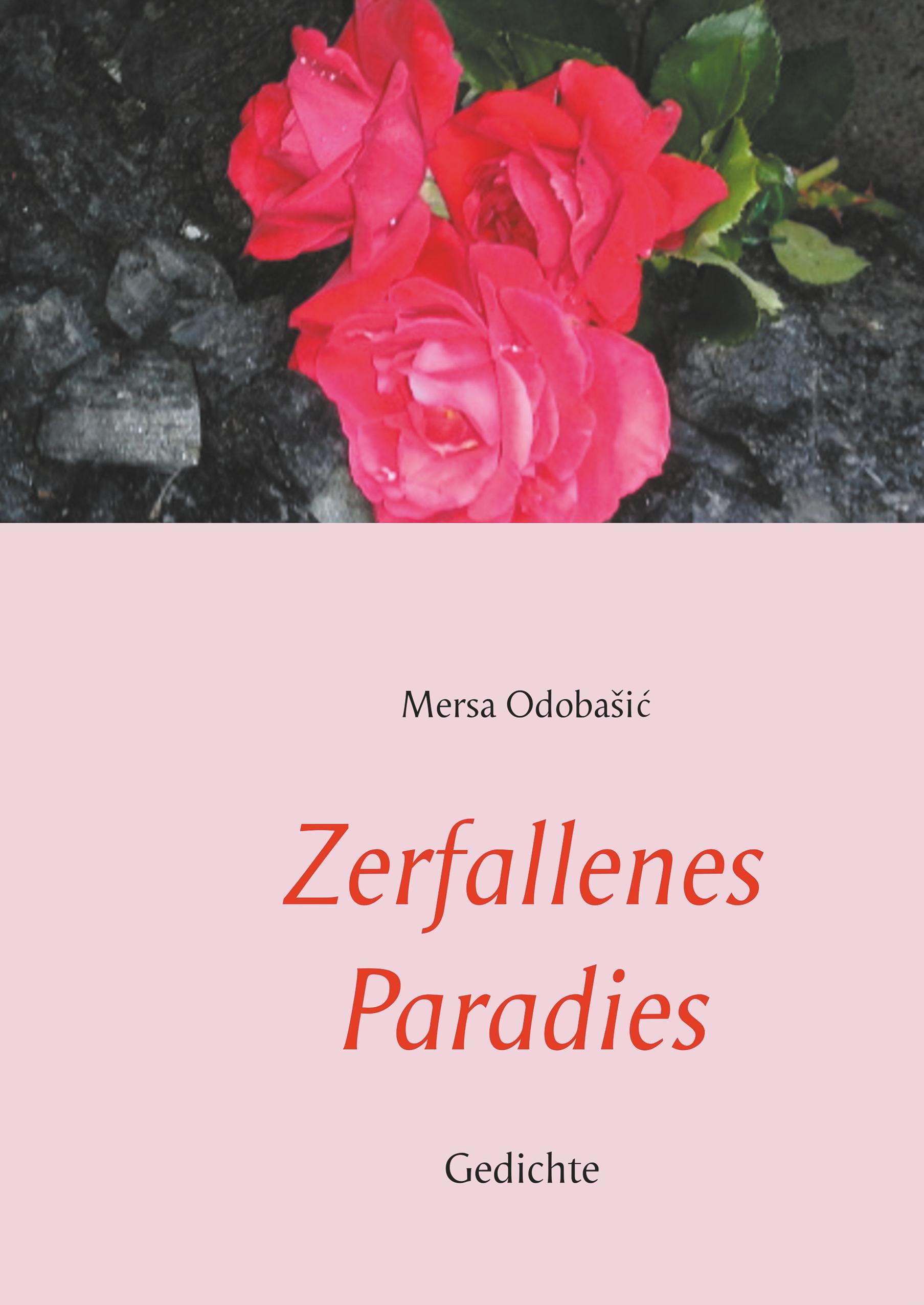 Vorderes Coverbild Zerfallenes Paradies