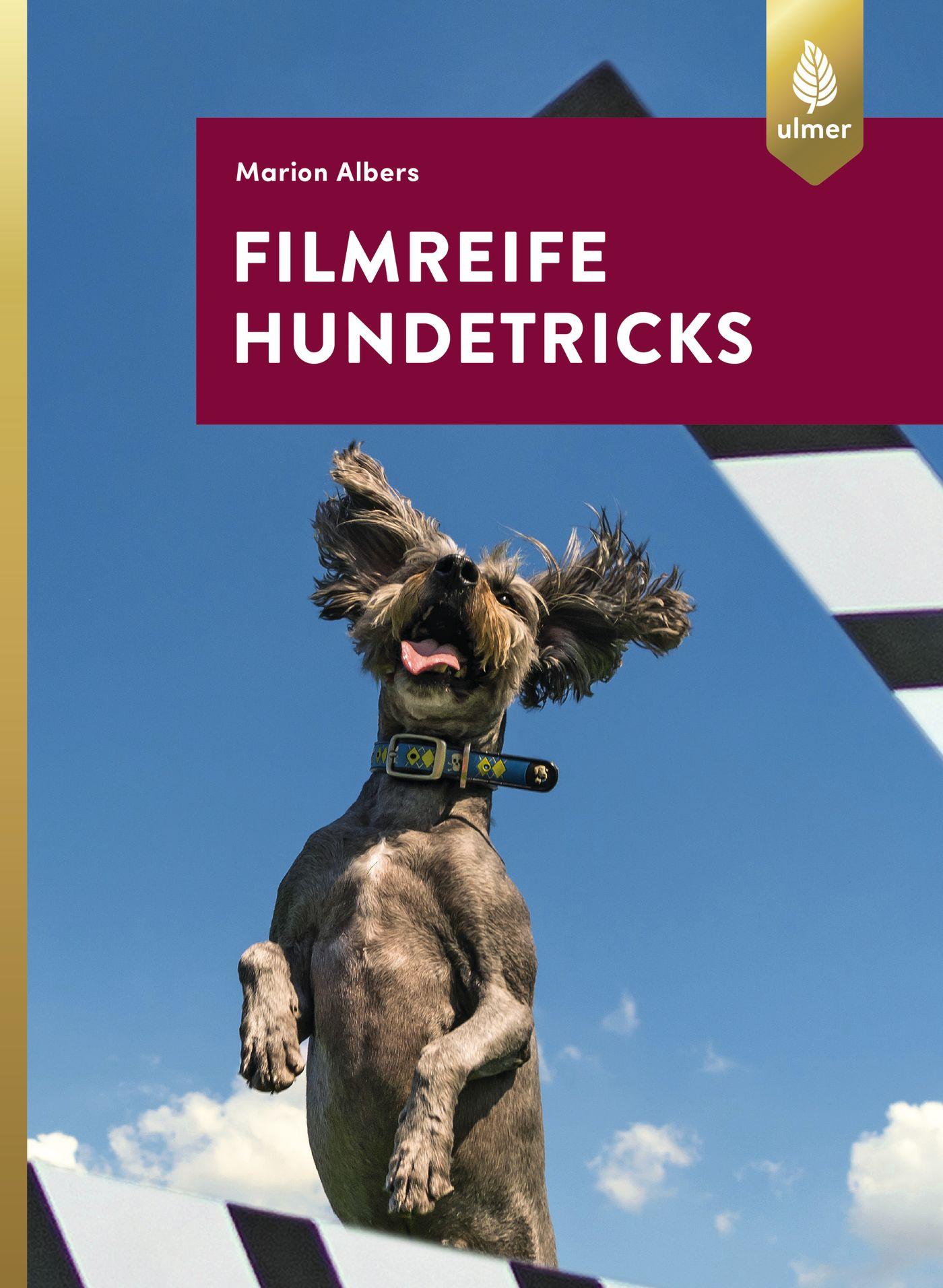 Vorderes Coverbild Filmreife Hundetricks