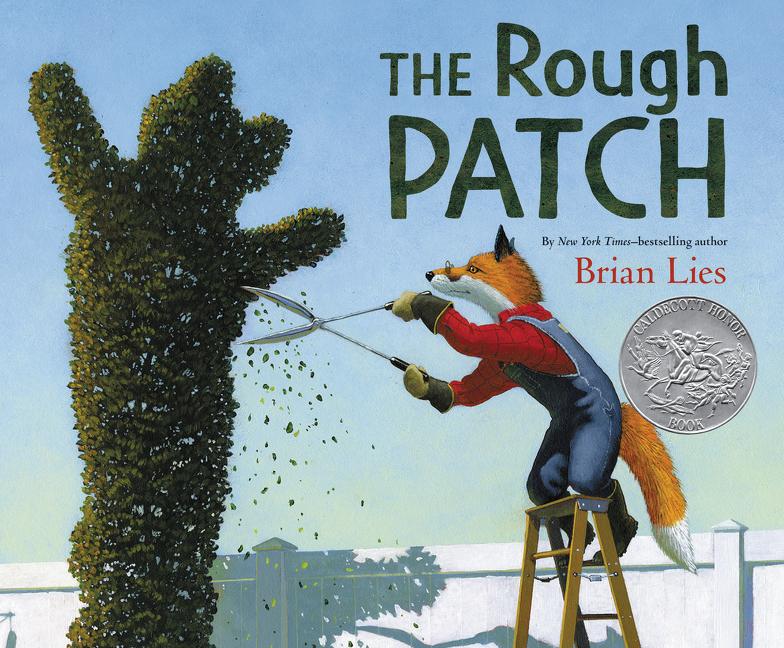 Vorderes Coverbild The Rough Patch