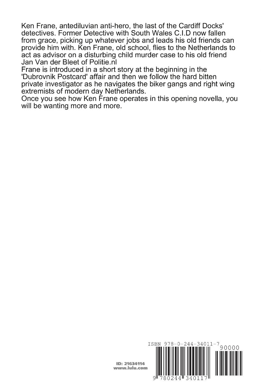 Rückseitencover The Leiden Triangle Mystery