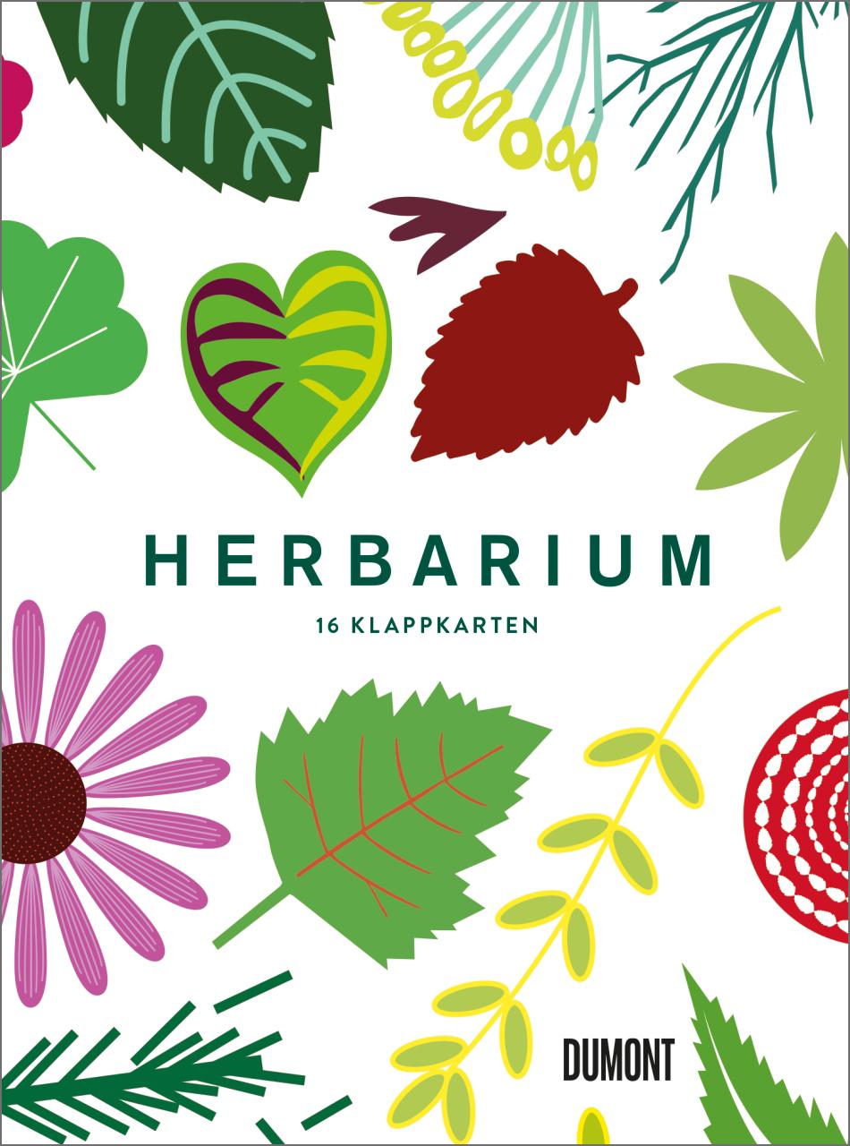 Vorderes Coverbild Herbarium Postkartenbox