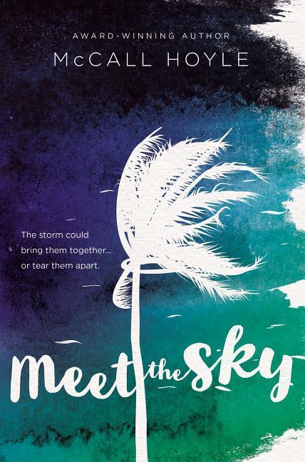 Vorderes Coverbild Meet the Sky