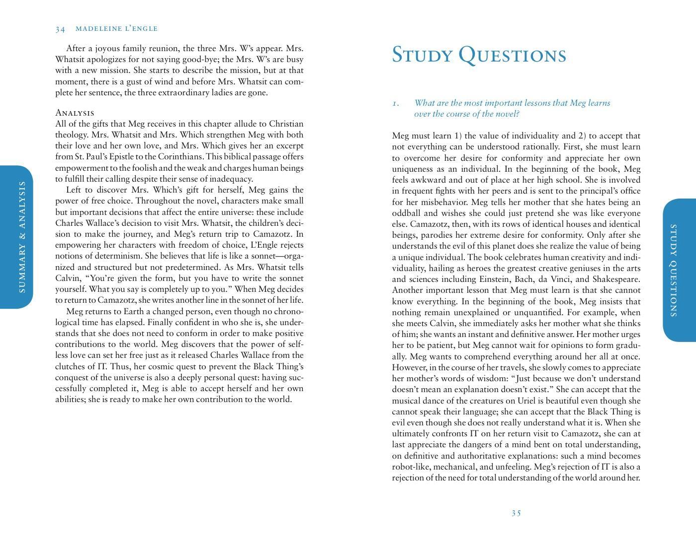 Beispielinhalt (Bild) A Wrinkle in Time Sparknotes Literature Guide