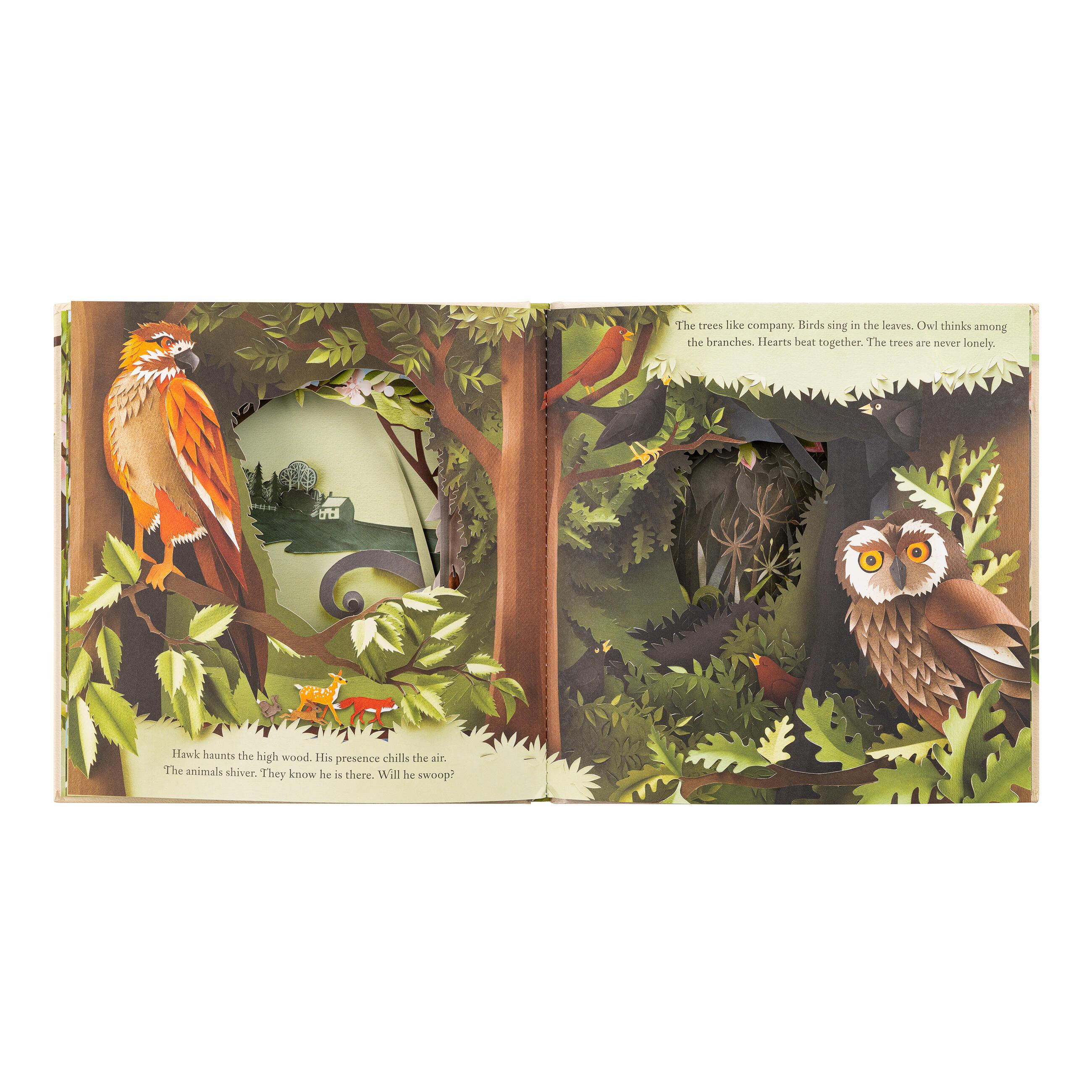 Beispielinhalt (Bild) A Walk Through the Woods