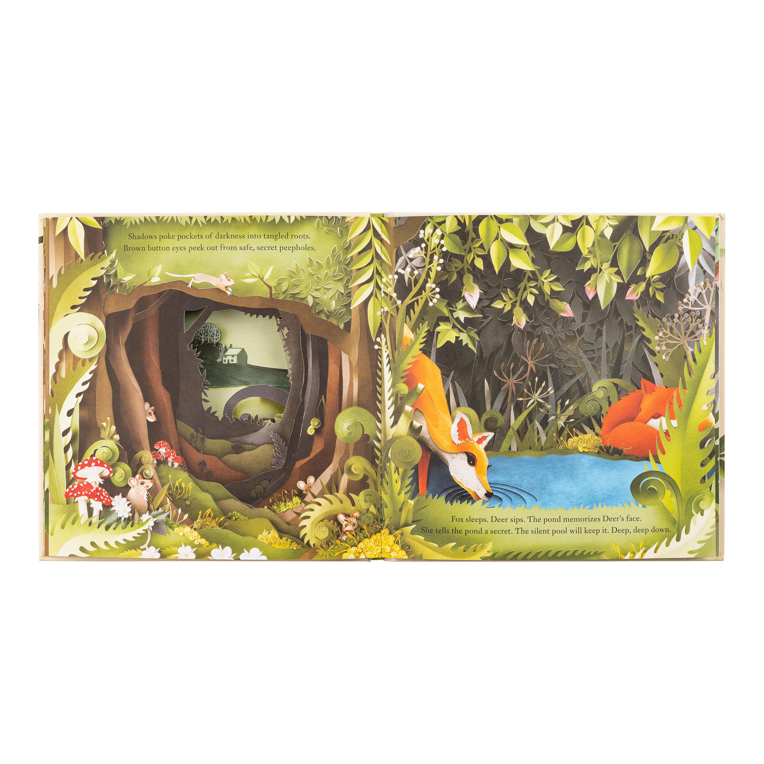 Beispielinhalt (Bild) A Walk Through the Woods