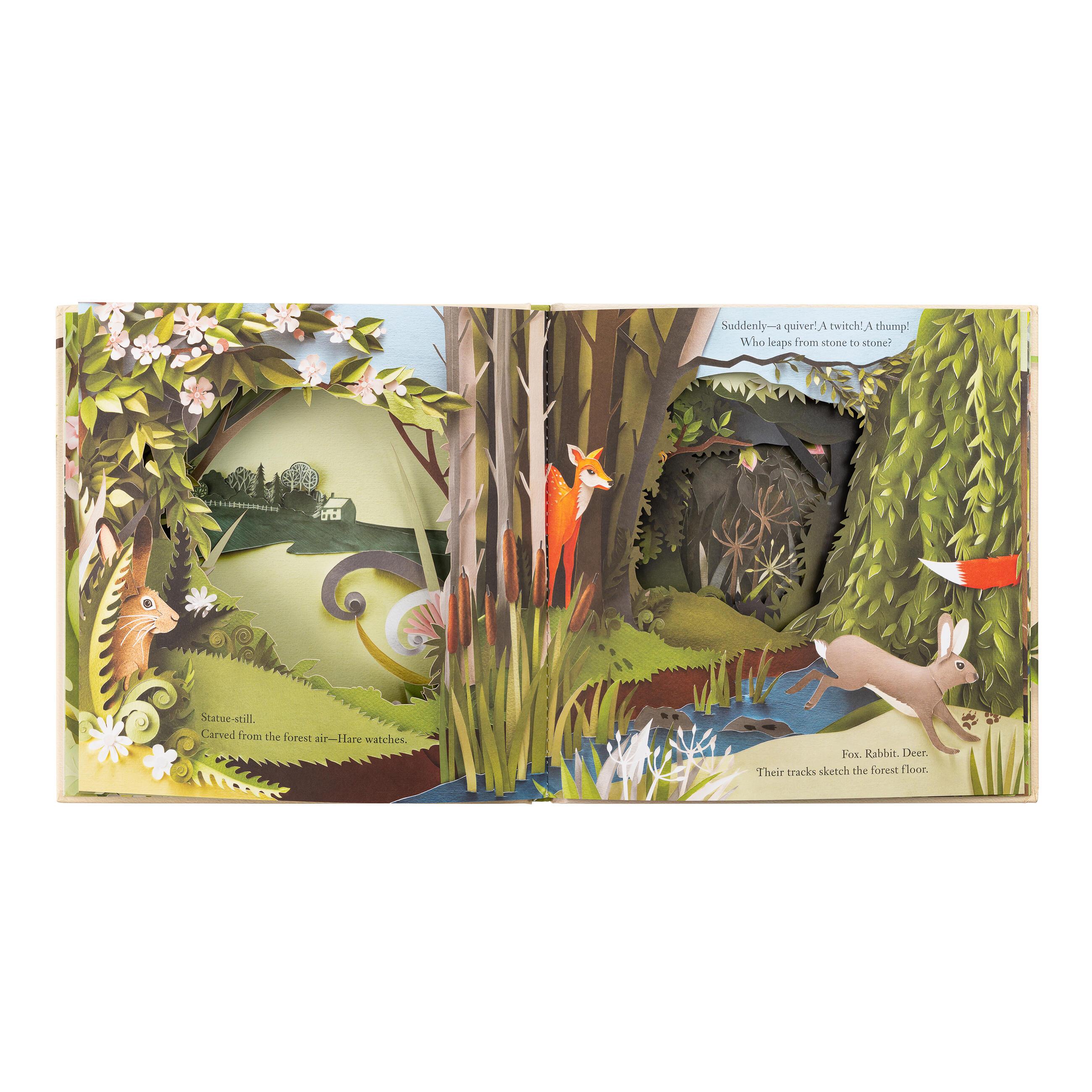 Beispielinhalt (Bild) A Walk Through the Woods