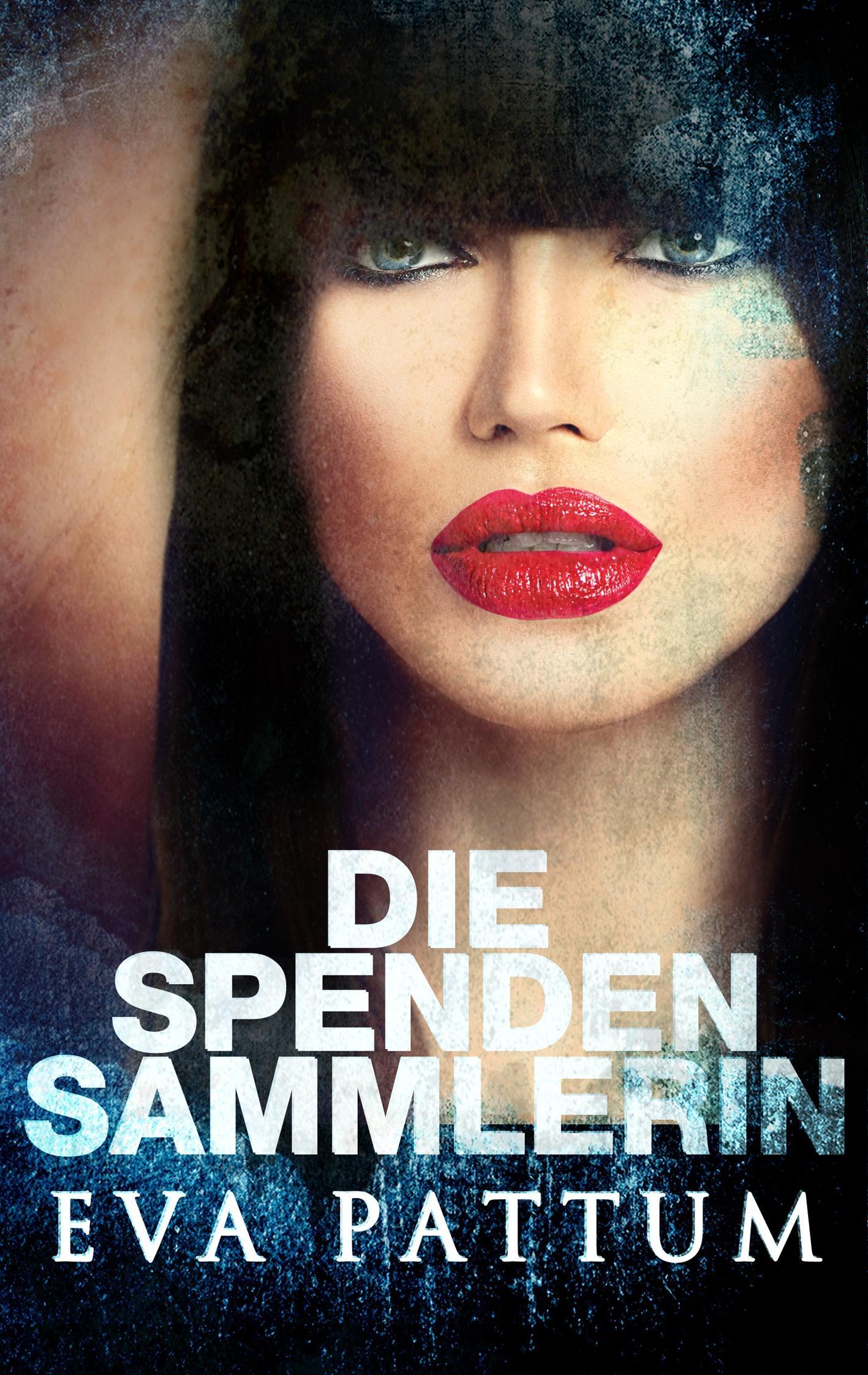 Vorderes Coverbild Die Spendensammlerin