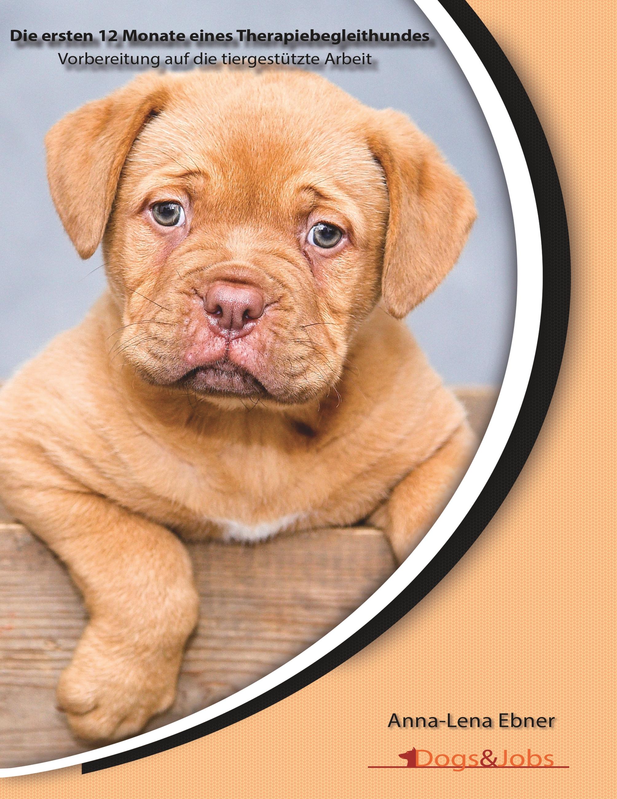 Vorderes Coverbild Die ersten 12 Monate eines Therapiebegleithundes