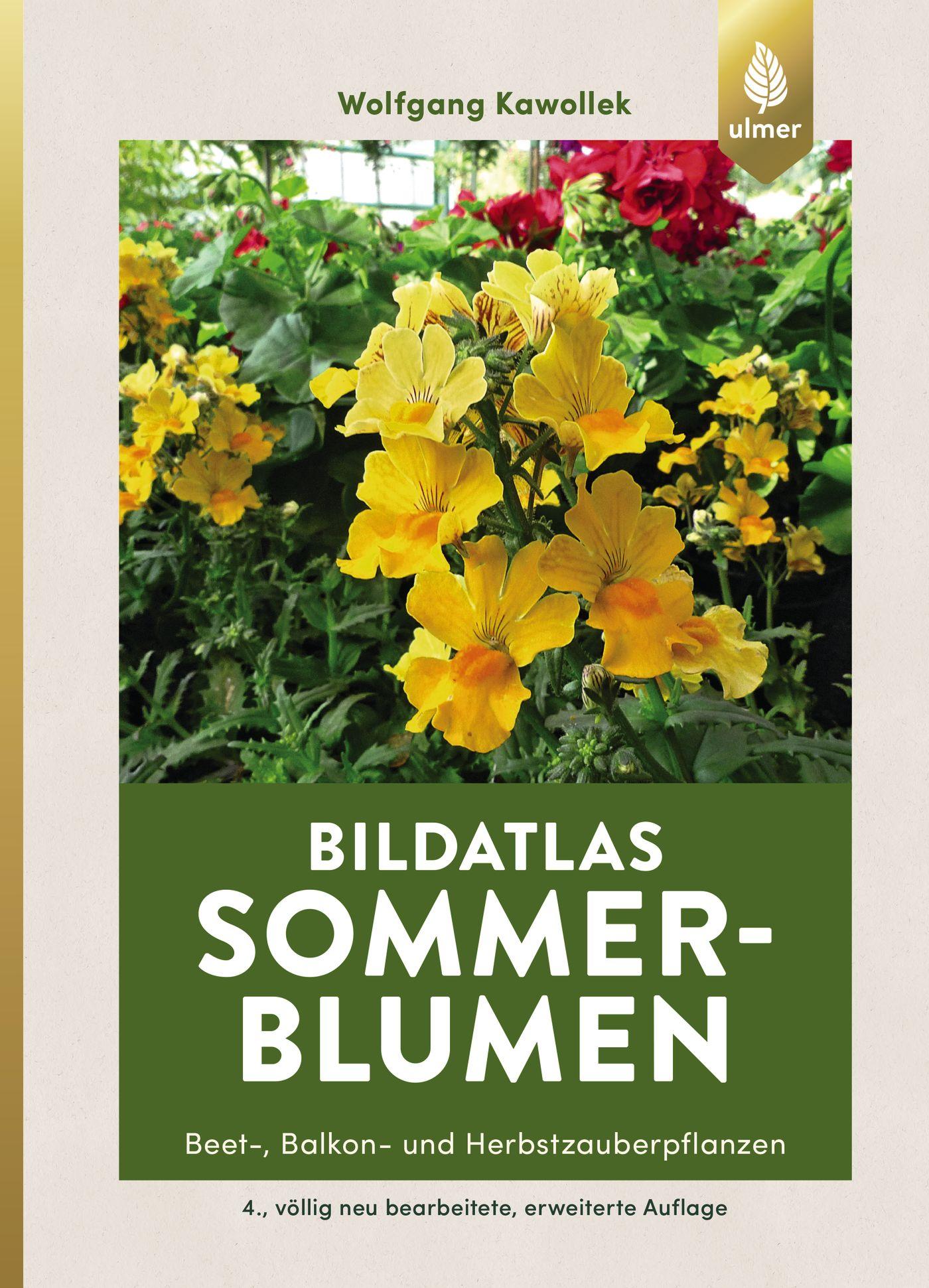 Vorderes Coverbild Bildatlas Sommerblumen