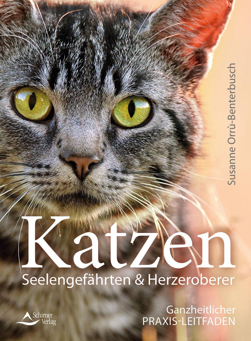 Vorderes Coverbild Katzen - Seelengefährten & Herzeroberer