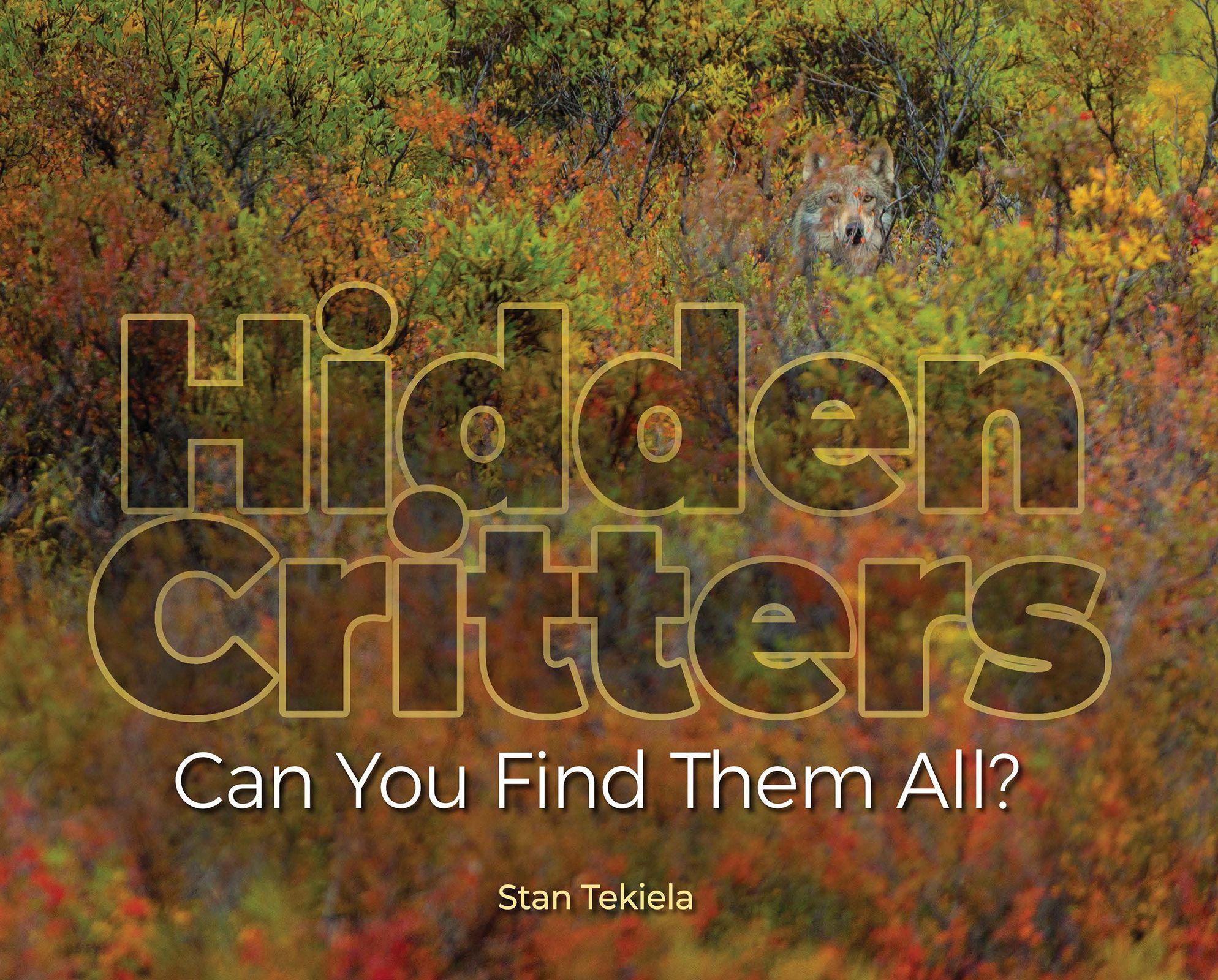 Vorderes Coverbild Hidden Critters