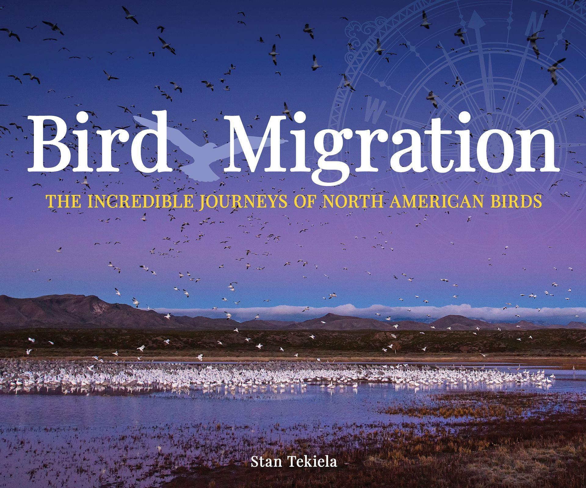 Vorderes Coverbild Bird Migration