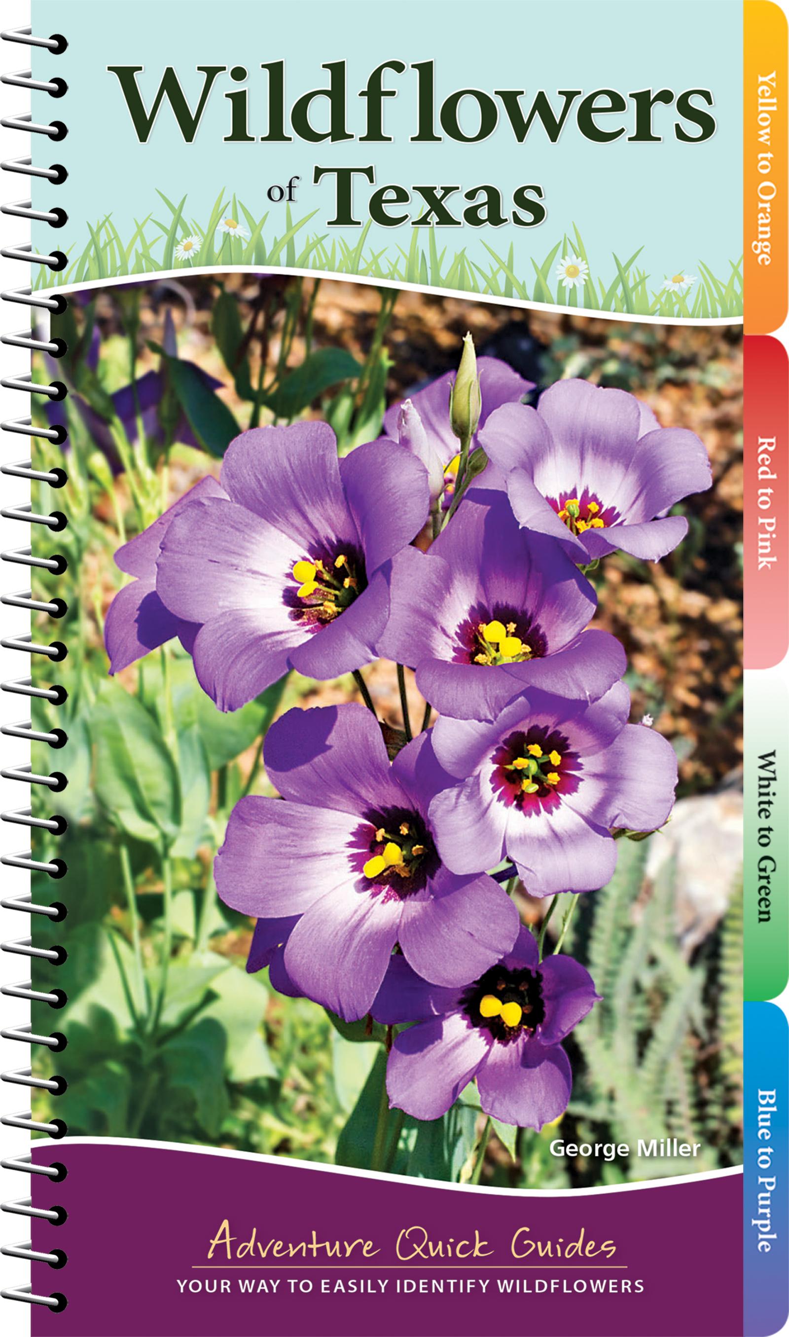 Vorderes Coverbild Wildflowers of Texas