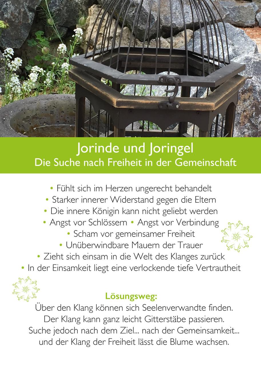 Beispielinhalt (Bild) Ahnenmedizin und Seelenhomöopathie
