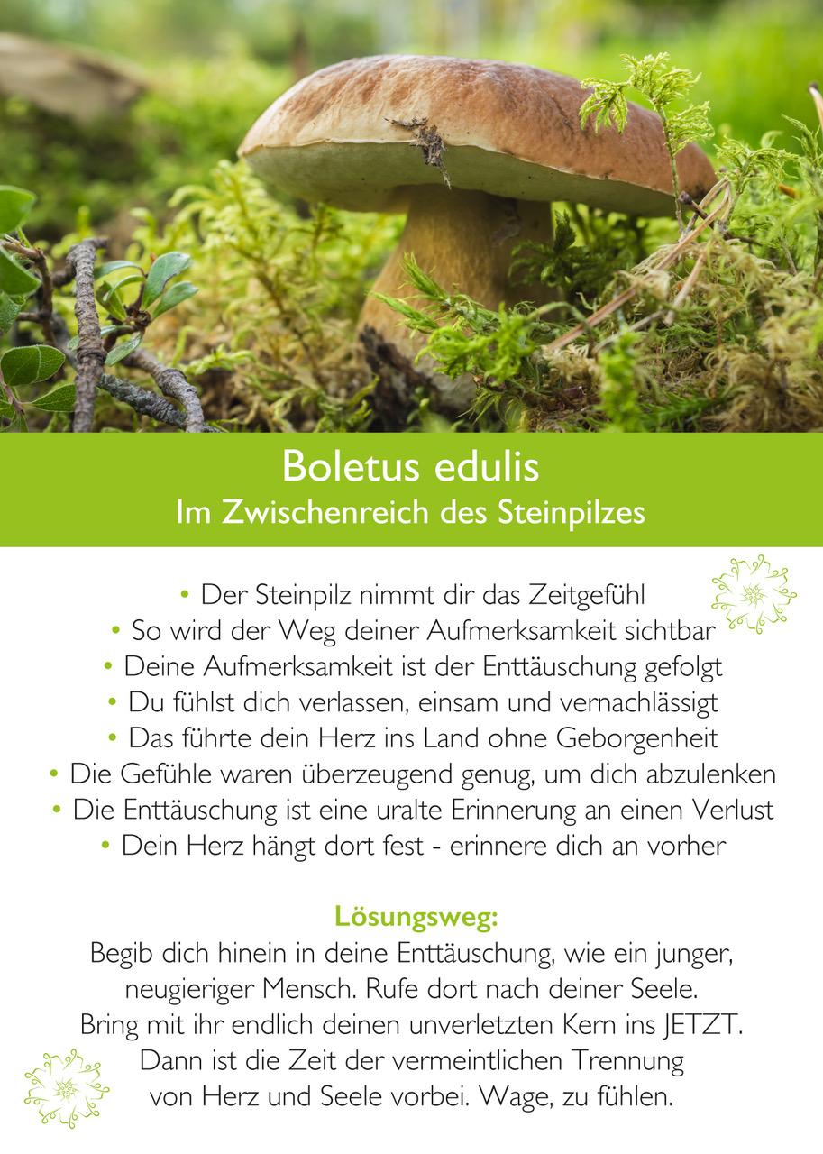 Beispielinhalt (Bild) Ahnenmedizin und Seelenhomöopathie
