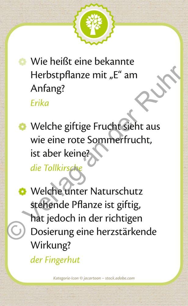 Beispielinhalt (Bild) Die große Quizbox für Senioren