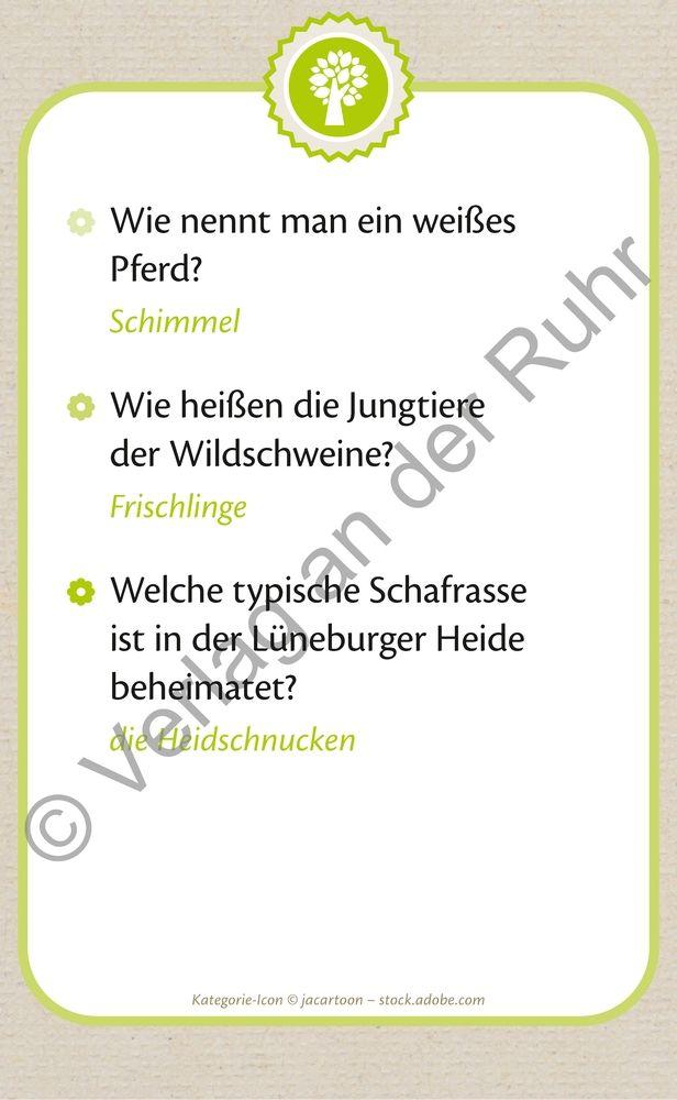 Beispielinhalt (Bild) Die große Quizbox für Senioren