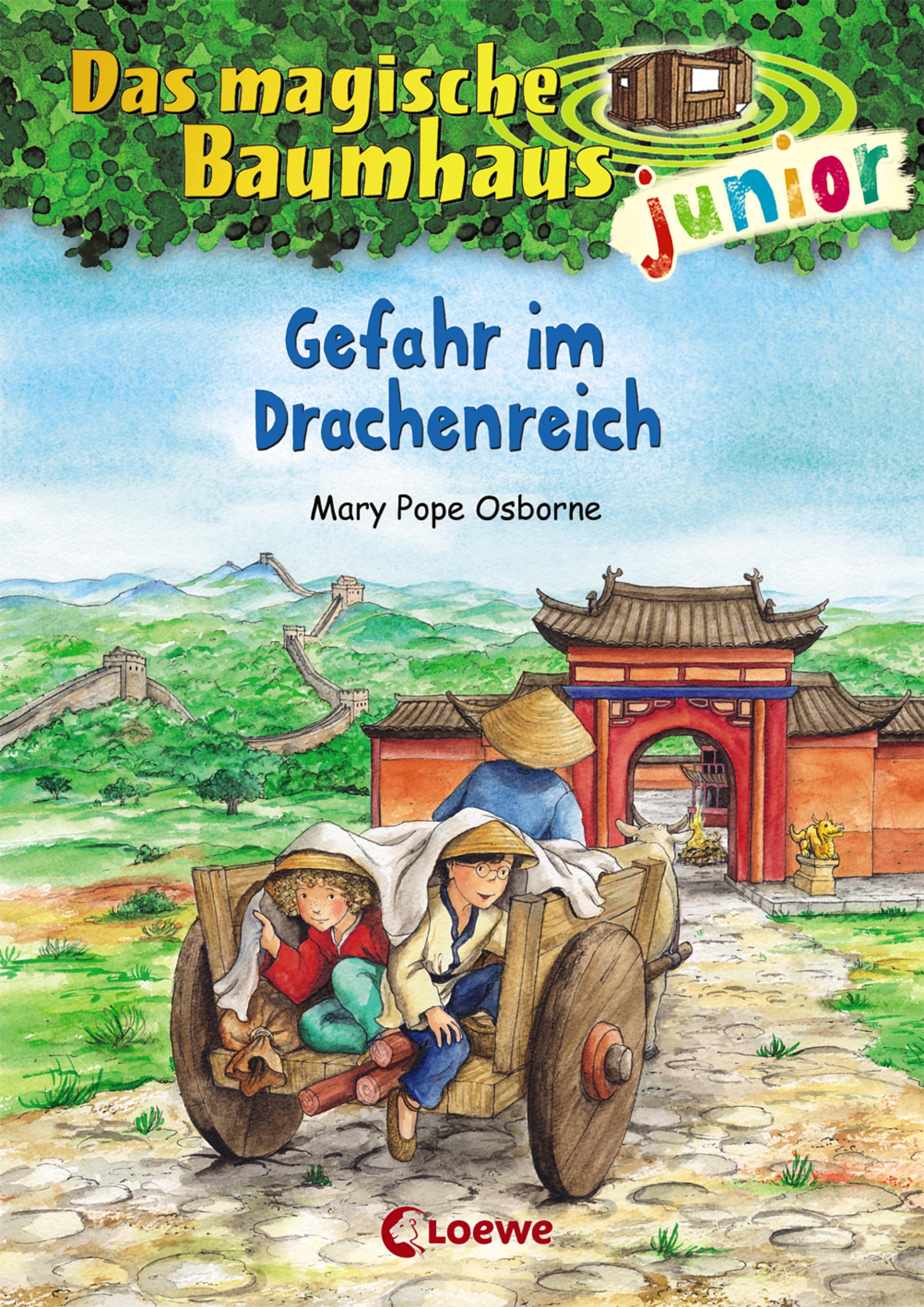 Vorderes Coverbild Das magische Baumhaus junior 14 - Gefahr im Drachenreich